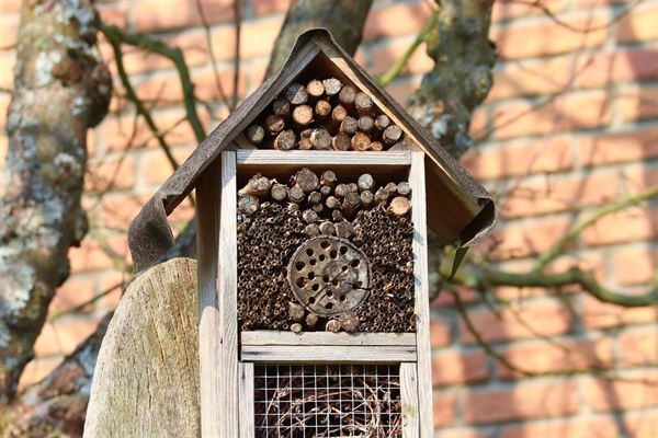 Find alt fra gode lupper til et skønt insekthotel hos Naturbutikken
