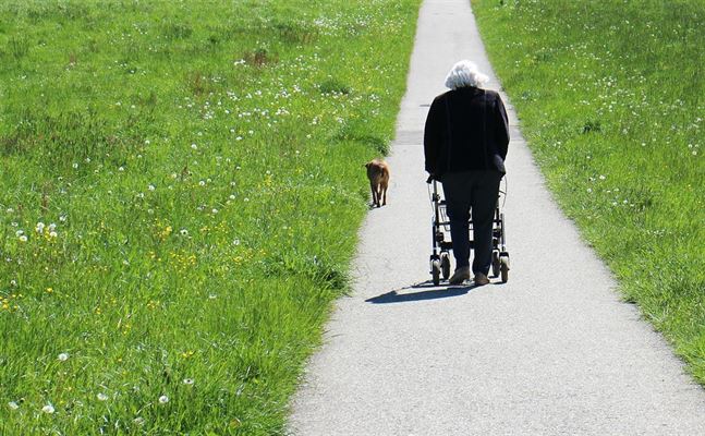 Forbedret daglig mobilitet med en rollator fra SeniorSalg.dk